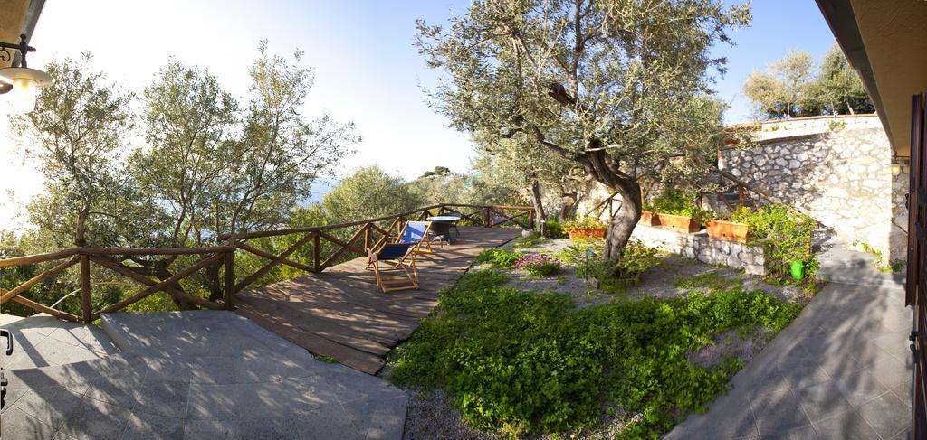 Villa Angelina Massa Lubrense Exterior foto